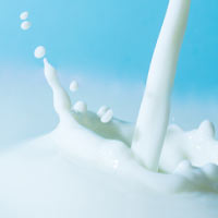 milk product filling and packaging